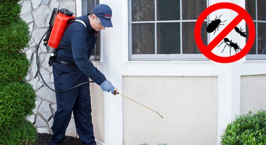 Karakeçili Karınca İlaçlama böcek ilaçlama ve haşere kontrolü — ilaclama-tr.com